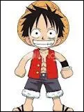 Quel est le surnom de Luffy ?