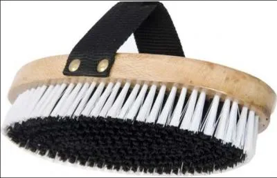 Quelle est cette brosse ?