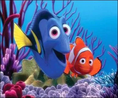 Comment Dory rencontre-t-elle Marin ?