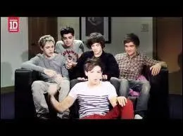 Dans  Video Diary , qui se retrouve  la place de Zayn ?