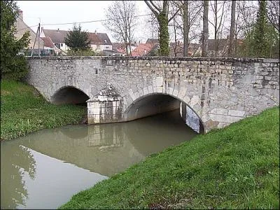 Bonny-sur-Loire est un petit village du Loiret de 2000 habitants. Vous devrez les nommer --------------.