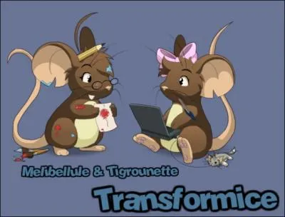 Qui sont les crateurs du jeu : Transformice ?