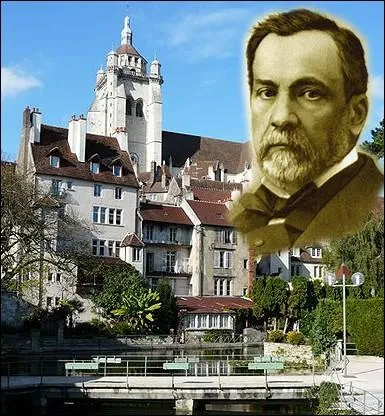 O est n Louis Pasteur, pionnier de la microbiologie ?