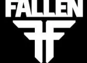 Quiz Fallen