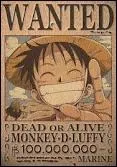 Que Luffy veut-il devenir ?