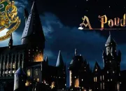 Quiz Harry Potter