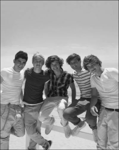 Que chantent les 1D sur cette image ?