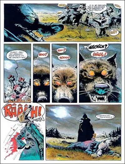 De quel album de Canardo vient cette planche de BD ?