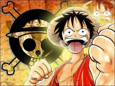 Quelle est la fonction de Monkey D. Luffy ?