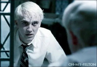 Dans quel Harry Potter, Drago Malefoy est-il devenu mangemort ?