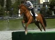 Quiz Equitation-Obstacles