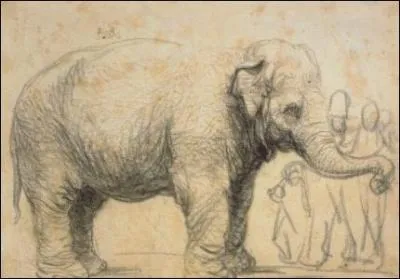 Un lphant, c. 1637