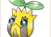 Quiz Pokmon de type plante