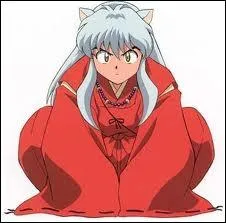 Inuyasha est un... ?