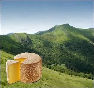 C'est un fromage  pte presse de forme cylindrique non cuite, originaire du Massif central fabriqu  partir de lait cru de vache ou pasteuris ... .