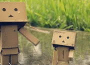 Quiz Danbo ( 1/4 )