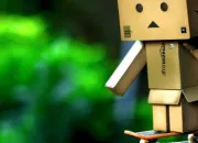 Quiz Danbo ( 2/4 )