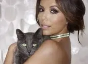 Quiz Des stars et des chats N 3