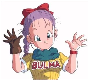 Quel ge avait Bulma quand on la voit pour la premire fois ?