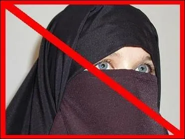 Qu'est-ce que le niqab ?