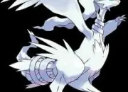 Quiz Reshiram et Zekrom