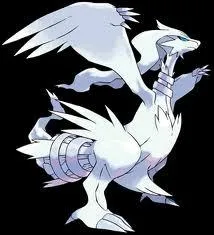 Quelle est la taille de Reshiram ?