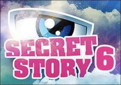 Quand Secret Story 6 a commenc ?