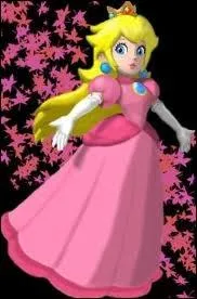 Qui est cette princesse ?