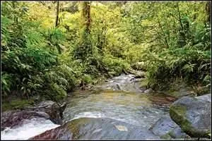 C'est l'action de creuser une rive par les eaux tourbillonnantes et les remous d'un courant. Conjuguez le verbe  la 3me personne du singulier, au prsent de l'indicatif.