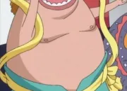 Quiz One Piece - Qui est-ce ? (New World)