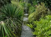 Quiz G18 - Jardins de France. Un coin de fracheur n 2