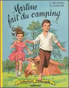 Le camping est une activité touristique qui consiste à rester au même endroit sous une tente. Martine compte lever le camp au matin. Elle ne restera qu'une nuit. Comment cette forme s'appelle-t-elle ?