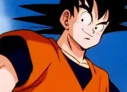 Quiz Dragon Ball Z - Sangoku