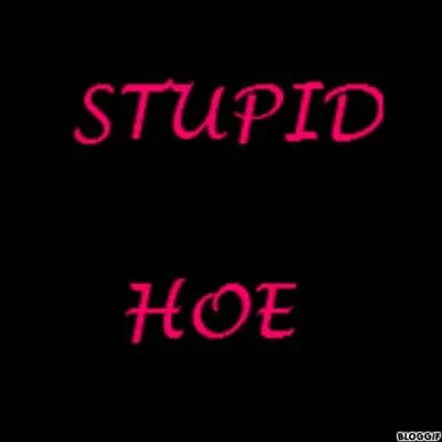 Qui est l'interprte de  Stupid Hoe  ?