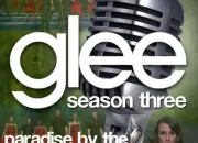 Quiz Glee - 3x21