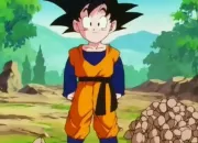 Quiz Dragon Ball Z - Sangoten