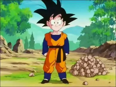 Qui tait la pendant l'entranement de Sangohan et Sangoten ?