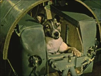 Comment s'appelait la chienne russe, tant le premier animal envoy dans l'espace,  bord du Spoutnik 2, le 3 novembre 1957 ?