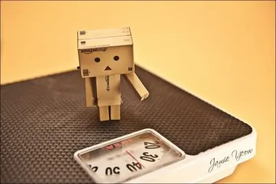 Combien pse Danbo ?