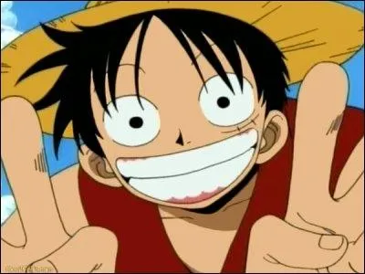 Qu'est-ce que Luffy dteste ?