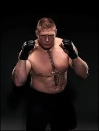 Quelle phrase est associe  Brock Lesnar ?