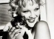 Quiz Des stars et des chats N 4