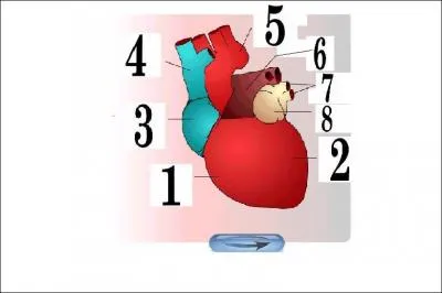 A quoi correspond le numro 1 ? Clique sur le shma pour l'agrandir.