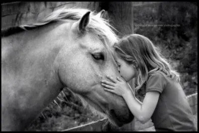 Tu viens de rentrer ton cheval au box. Aprs une caresse celui-ci pose sa tte sur ton paule. Que veut-il te signifier ?