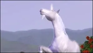 O peut-on trouver une licorne dans la ville d'Appaloosa Plains ?