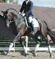 Quiz Equitation