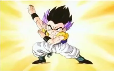 De qui est compose la fusion Gotenks ?