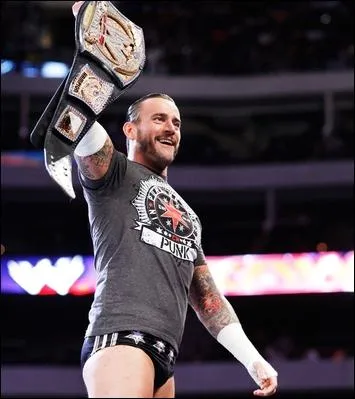 Quel est le finisher de CM Punk ?