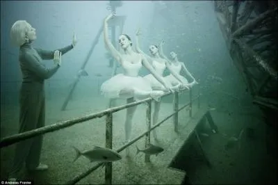 Terminez ces paroles de la chanson  La mer , de Charles Trenet : La mer, qu'on voit danser / Le long des golfes clairs ...