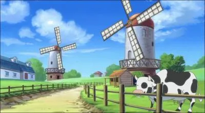 Comment se nomme le village o est n Luffy ?